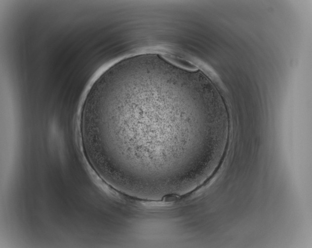 X0000113741200200909301005