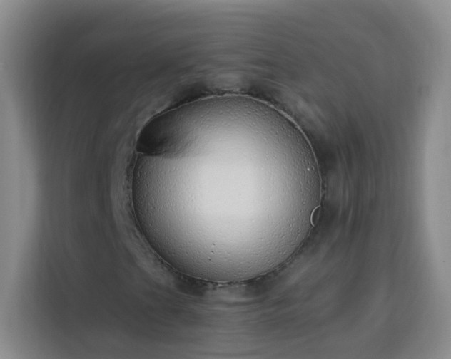 X0000113741201200909301004