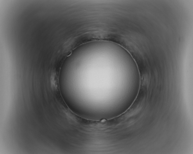 X0000113741202200909301004