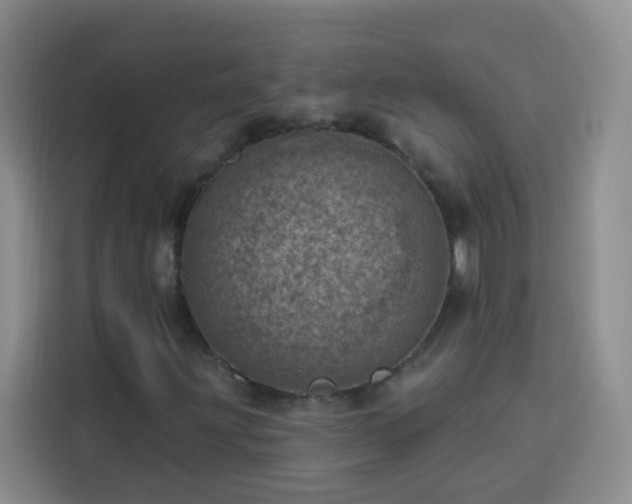 X0000113741203200909301004