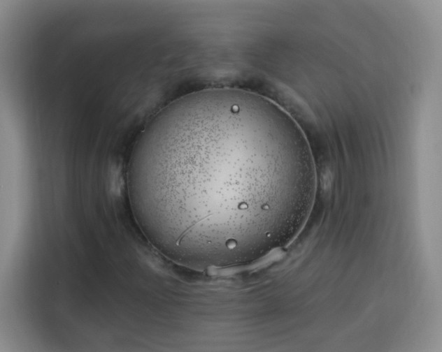 X0000113741204200909301004