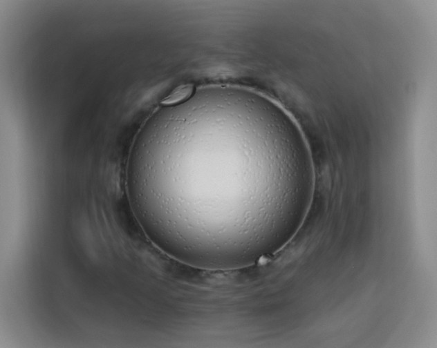 X0000113741205200909301004