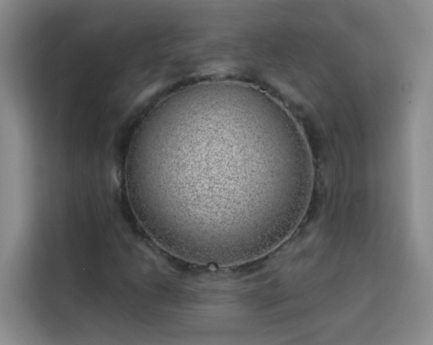 X0000113741206200909301004