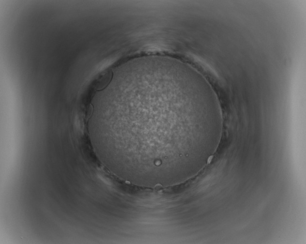 X0000113741207200909301004