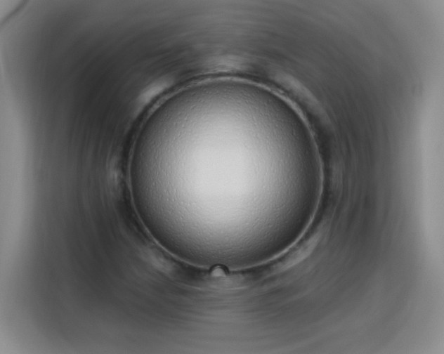 X0000113741210200909301004