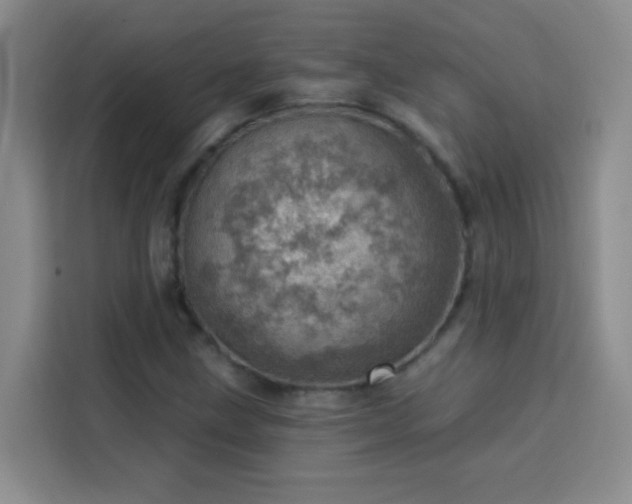 X0000113741211200909301004