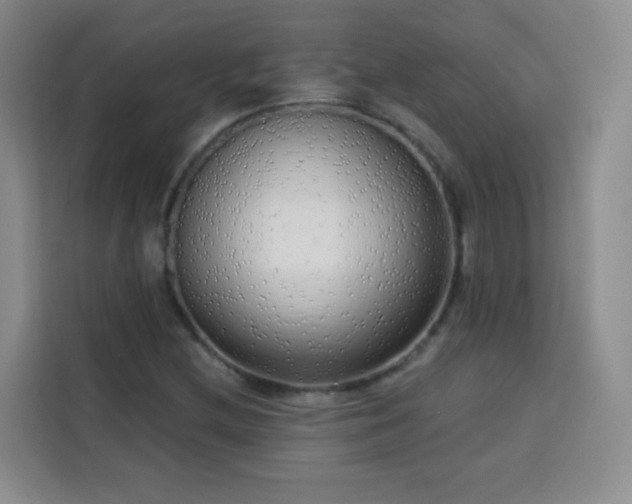 X0000113741212200909301004