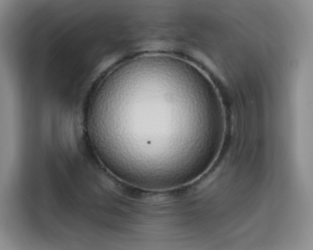 X0000113741213200909301004