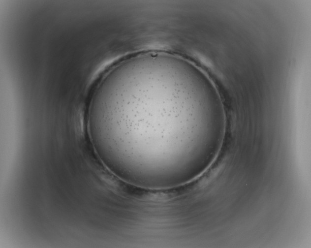 X0000113741214200909301004