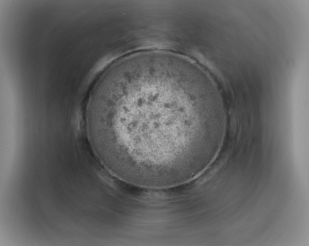 X0000113741215200909301004