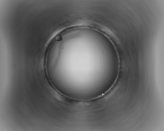 X0000113741216200909301004