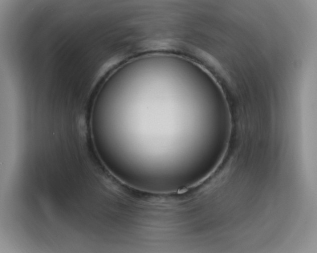 X0000113741218200909301004