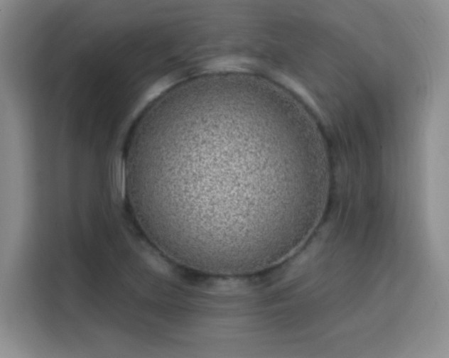 X0000113741219200909301004