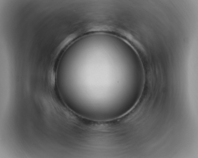 X0000113741221200909301004