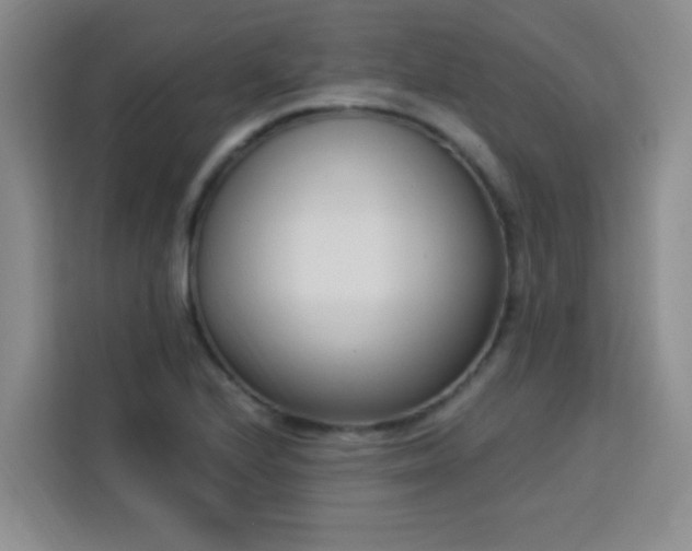 X0000113741224200909301004