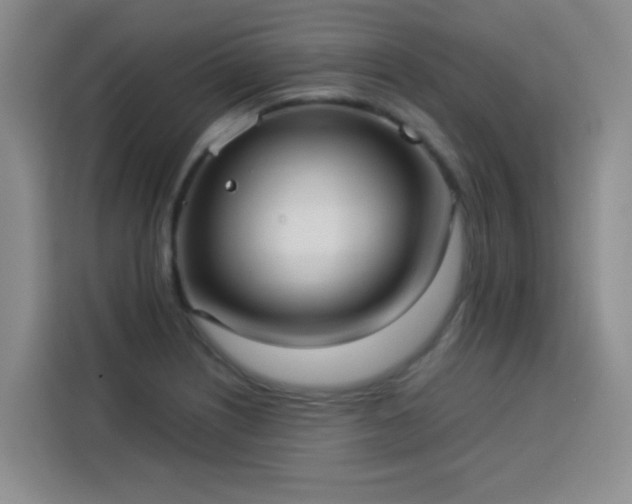 X0000113741226200909301004