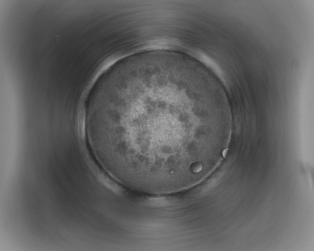 X0000113741227200909301004