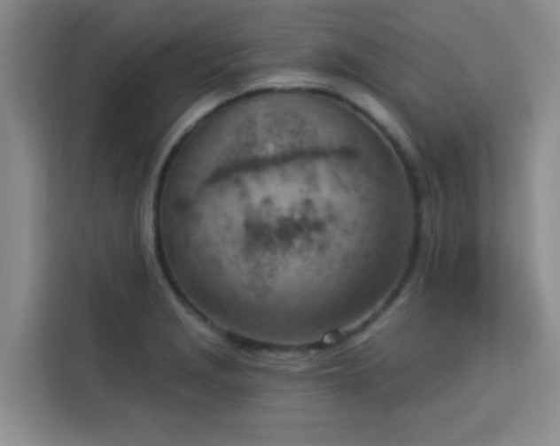 X0000113741229200909301005