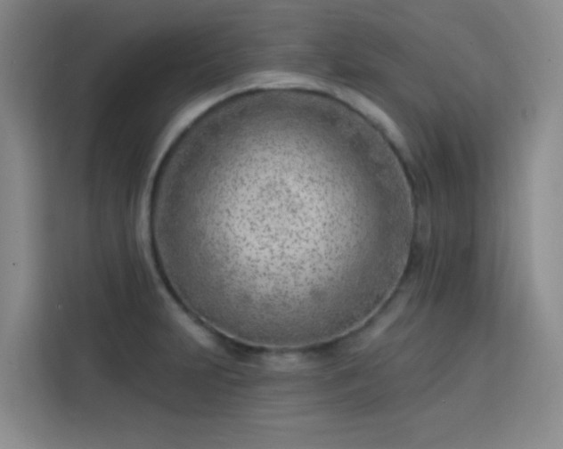 X0000113741231200909301005