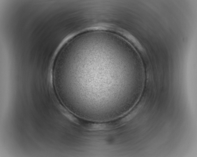 X0000113741232200909301005