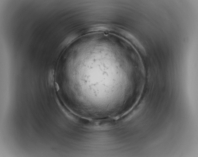 X0000113741233200909301005