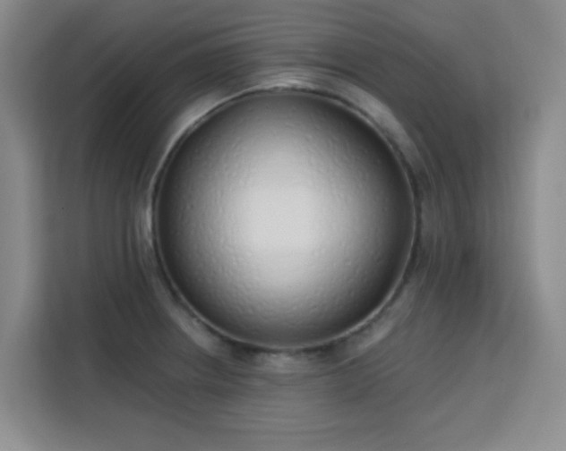 X0000113741234200909301005