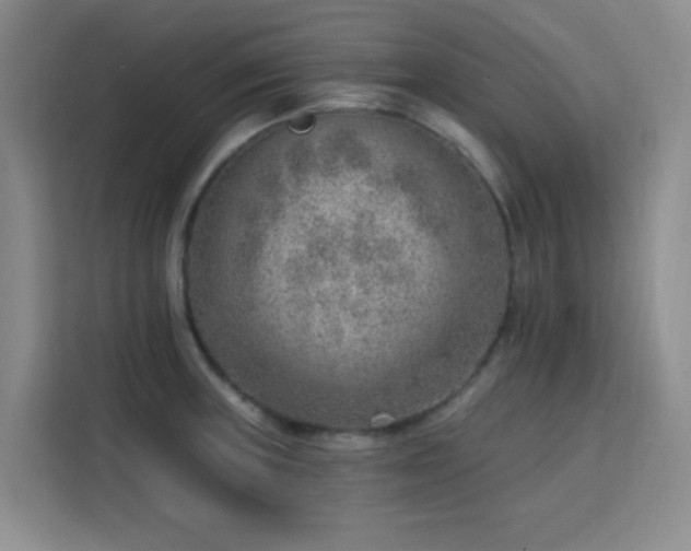 X0000113741235200909301005