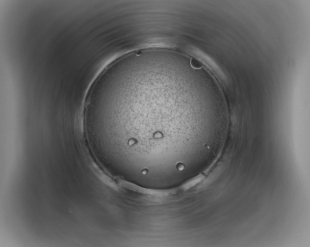 X0000113741236200909301005