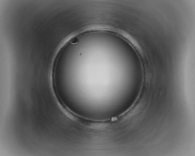 X0000113741237200909301005