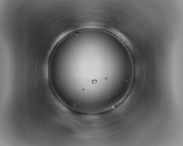 X0000113741238200909301005