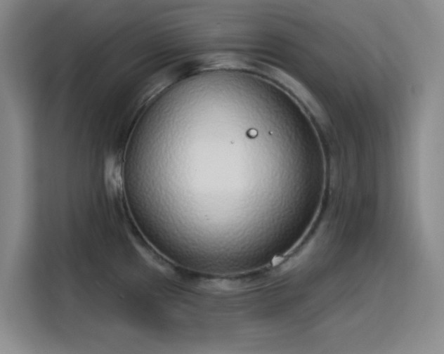 X0000113741241200909301005