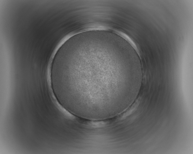 X0000113741243200909301005