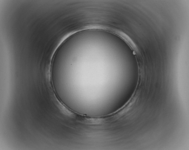 X0000113741244200909301005