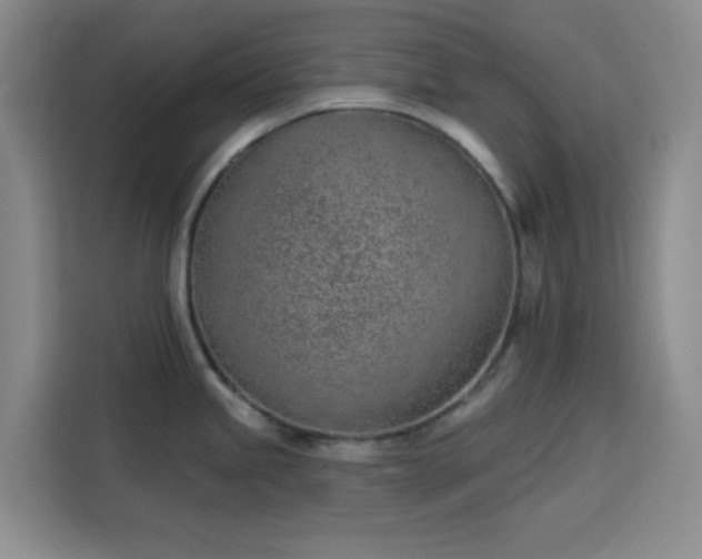 X0000113741245200909301005