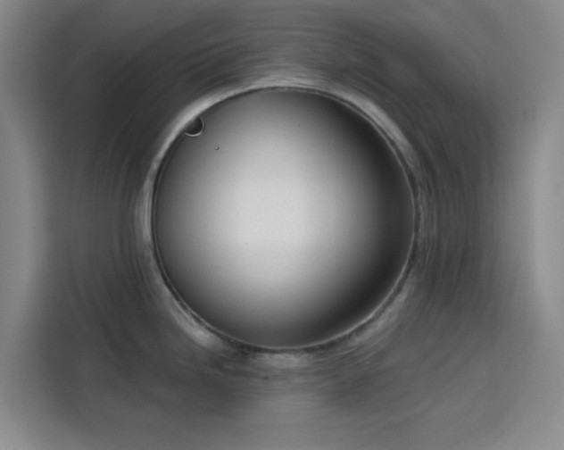 X0000113741246200909301005