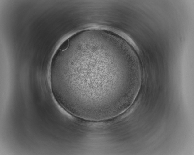 X0000113741247200909301005