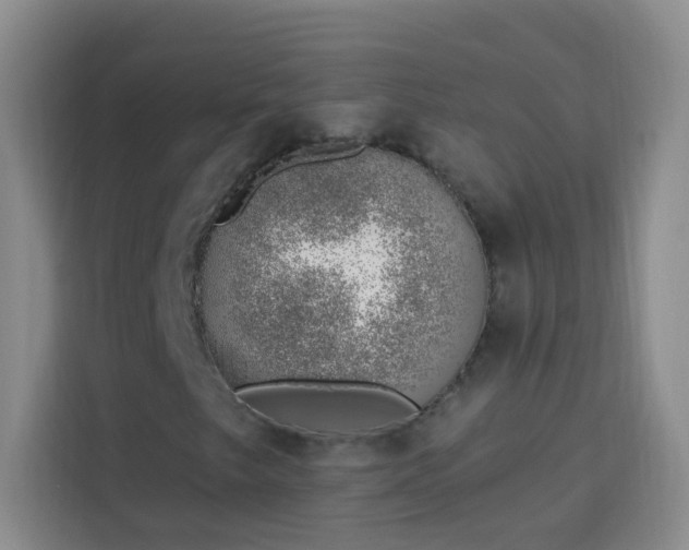 X0000113741249200909301004