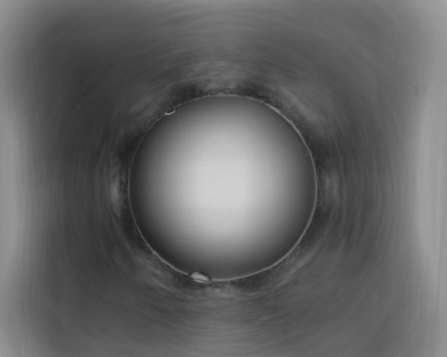 X0000113741250200909301004