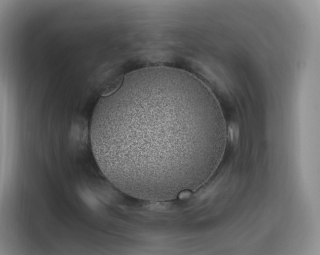 X0000113741251200909301004