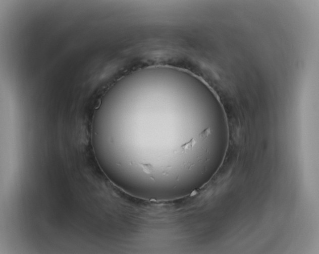 X0000113741253200909301004