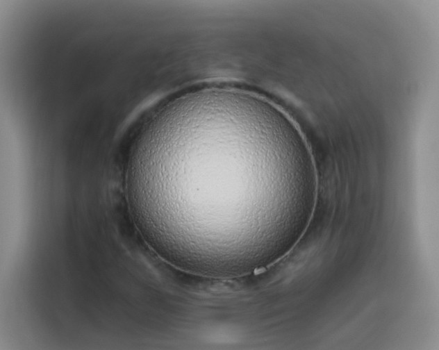 X0000113741255200909301004