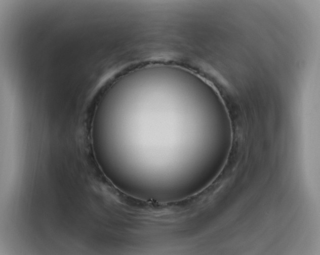 X0000113741256200909301004