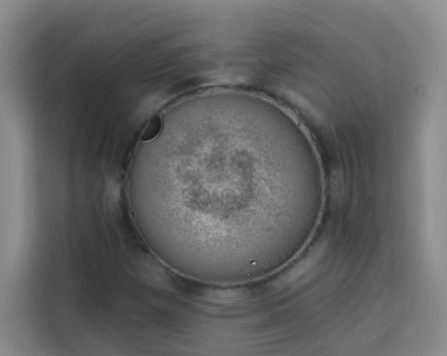 X0000113741257200909301004