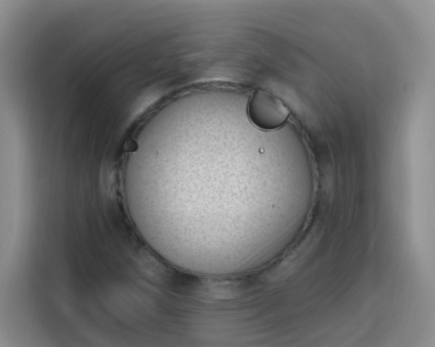 X0000113741258200909301004