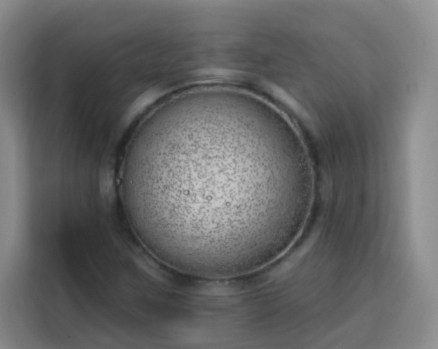 X0000113741259200909301004