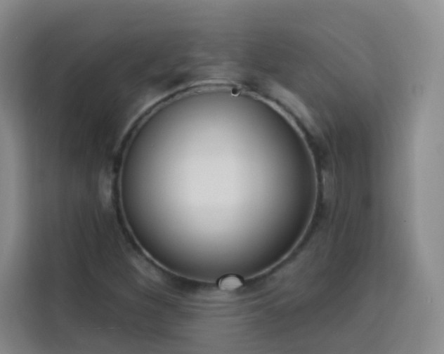 X0000113741260200909301004