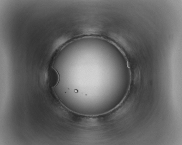 X0000113741261200909301004