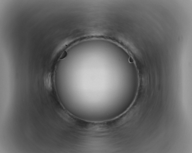 X0000113741262200909301004