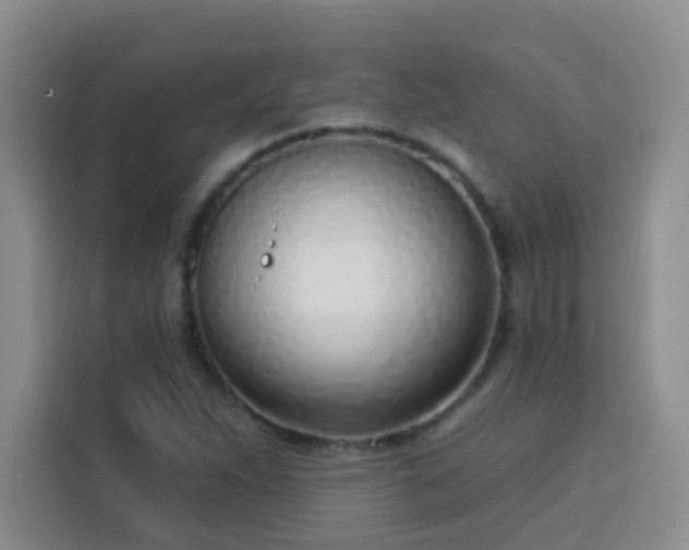 X0000113741263200909301004