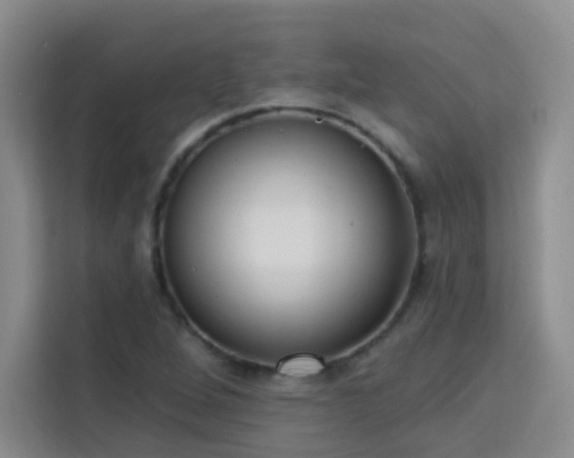 X0000113741264200909301004